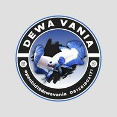 Dewa Vania Betta