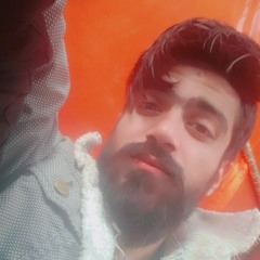 Hassnain Shahbaz