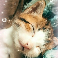 minha princesa 😻💓