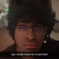 paul_Edid8