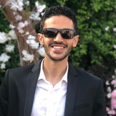 Ashraf Metawea