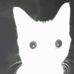 m@d d06