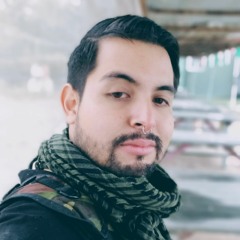 luis393