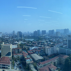 Việt