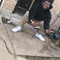 Yunginoutda9