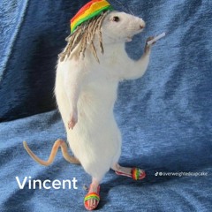 Vincent