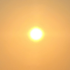 Monurga