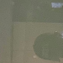 카이로 (kairo)