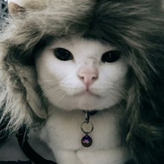 ＬＥＯＮＥ ＡＢＢＡＣＣＨＩＯ