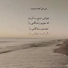 farzaneh88