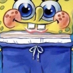 sponge