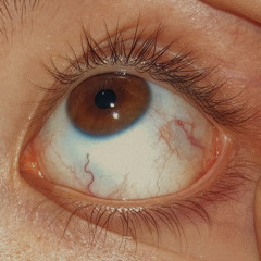 Feiulle