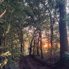 TTDruidy🧙‍♂️
