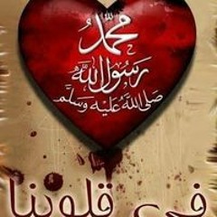 Sayed Elhwaity