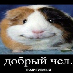 Virbul virbul