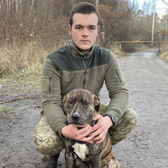 Андрей Майоренко