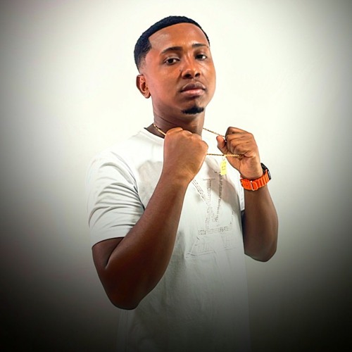 QUE QUE NÓS VAI FAZER VS DIZ AI QUAL É O PLANO [ PARÓDIA ] DJ'S RYAN & DUDU DE AUSTIN