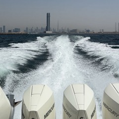 علي أحمد الشحي