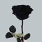 WWW.MARELAN.COM