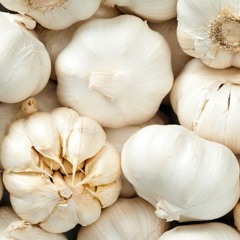 lil garlic
