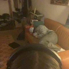 yurr yurrson #dialed in