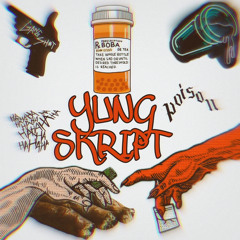 Yung Skript