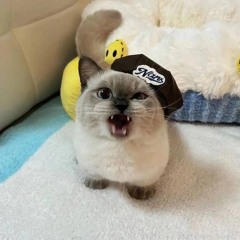 1221