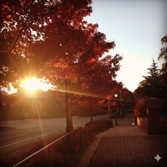 Lord, Increase Our Faith | Luke 17: 5-6