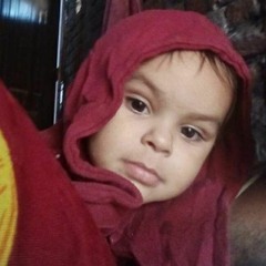 ahmad gull