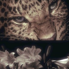 下衆野郎⁷⁷⁷