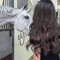 SHK3.