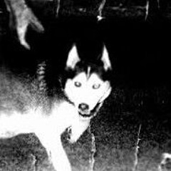 Psych Ward Productions