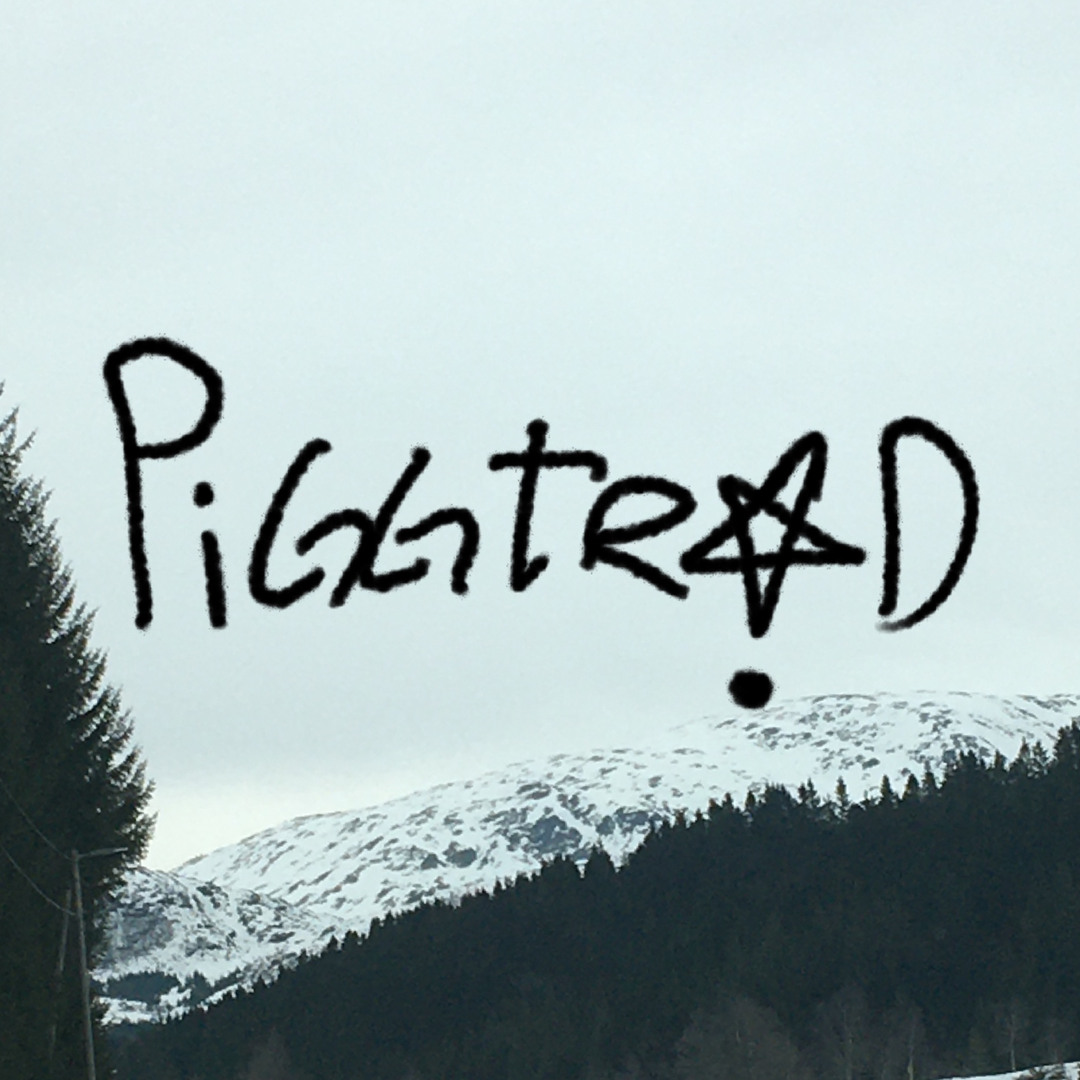 P I G G T R Å D’s avatar