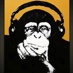 Lost Monkey