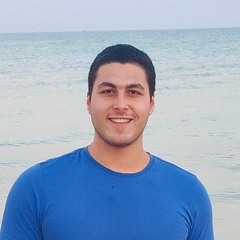 Ali Hatem