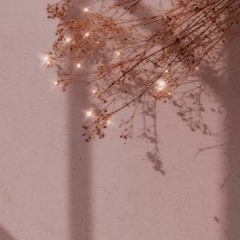 ‎‧₊˚✧[𝐌𝐞𝐢 𝐌𝐞𝐢]✧˚₊‧