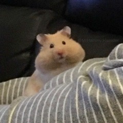 이
