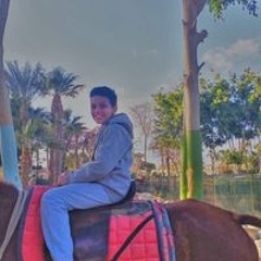 Ahmed Wael