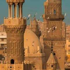 نُسيبة حسن