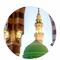 gehan mostafa