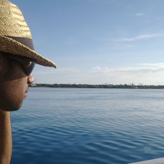 Dodo Sailor