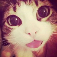 *★,°*:. jones