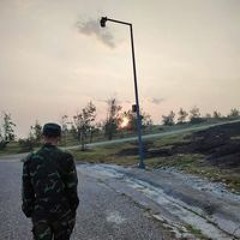 HẬu Mèoo