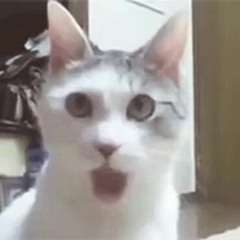 52 X я волнa X Asphalt 8