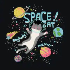 space_cat