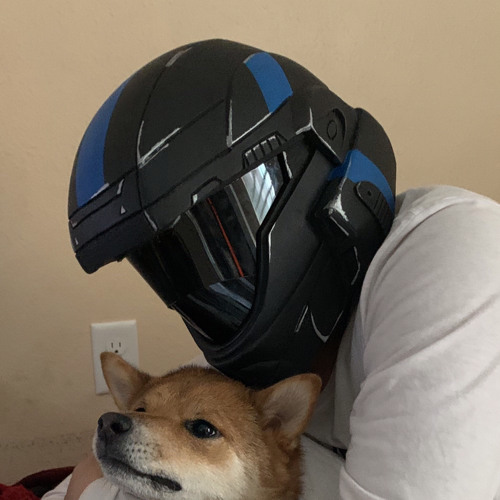 Loxperx3 S Stream