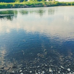 Munashii
