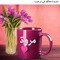 عمر ياسر