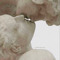 User 311999101