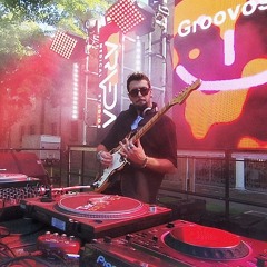 Groovosae